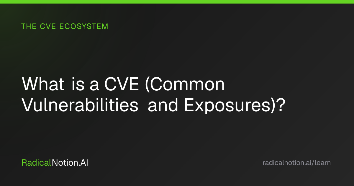 What is a CVE? | RadicalNotion.AI | RadicalNotion.AI